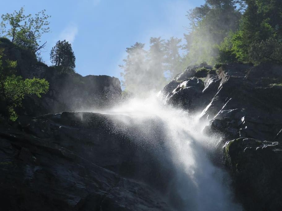 "Le Desman" Confortable T2 A La Montagne Face Aux Thermes Rando, Cure Aulus-les-Bains Dış mekan fotoğraf
