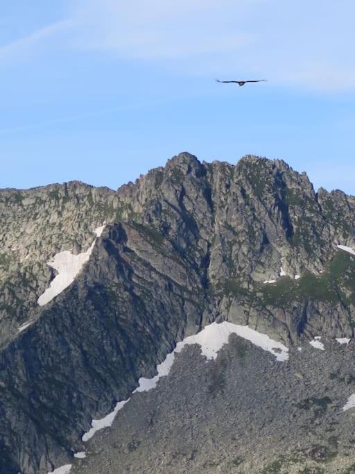 "Le Desman" Confortable T2 A La Montagne Face Aux Thermes Rando, Cure Aulus-les-Bains Dış mekan fotoğraf