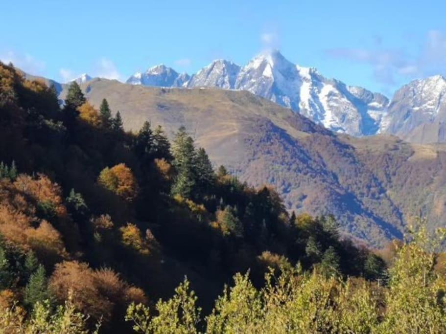 "Le Desman" Confortable T2 A La Montagne Face Aux Thermes Rando, Cure Aulus-les-Bains Dış mekan fotoğraf